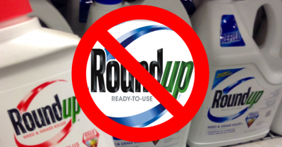 Toxic Truth: New Evidence for Banning Monsanto's Roundup Weedkiller